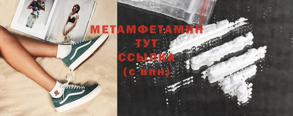 мдпв Гусев