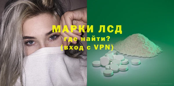 мдпв Гусев