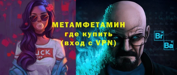 мдпв Гусев