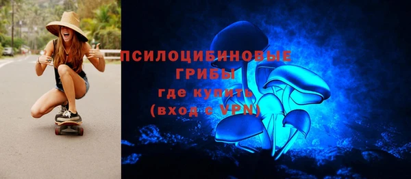 мдпв Гусев