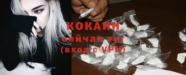 трава Тайга