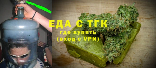 мдпв Гусев