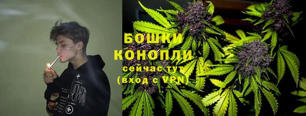 мдпв Гусев