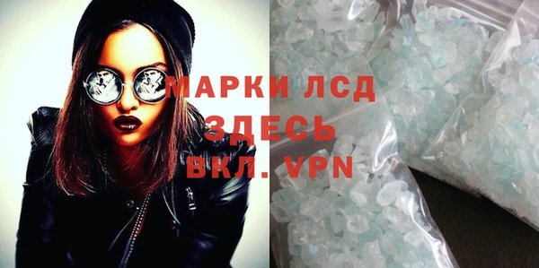 мдпв Гусев